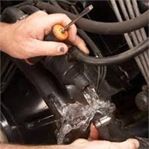 Winterize & Summarize